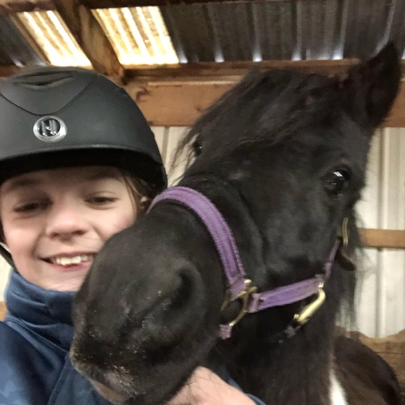 Meet your Posher, Izzy - Picture 1 of 1